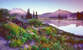 Check out our bend oregon art selection for the very best in unique or custom, handmade pieces from our prints shops. Oregon Wildflowers Gallery Archives Mike Putnam Photography