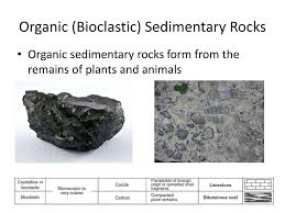 Check spelling or type a new query. Sedimentary Rocks Ppt Download