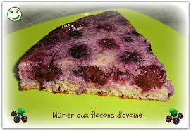 Murier Aux Flocons D Avoine Chez Vanda Flocon Avoine Avoine Recettes Crues
