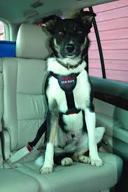 Clix Carsafe Dog Car Safety Harness