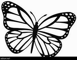 Each printable highlights a word that starts. Brilliant Image Of Monarch Butterfly Coloring Page Davemelillo Com Butterfly Printable Easy Butterfly Drawing Butterfly Coloring Page