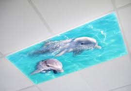 Octo Lights Transforming Your Lighting Fluorescent Light Covers Decorative Fluorescent Light Covers Light Covers