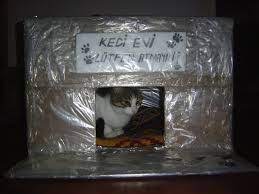 karton kedi kopek evi ile ilgili gorsel sonucu kedi kopek kopek kedi