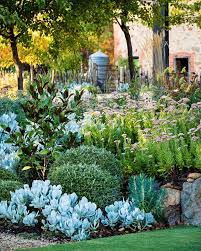 Magnificent Adelaide Garden Grown From Recycled Materials Beautiful Gardens Backyard Landscaping Urban Garden