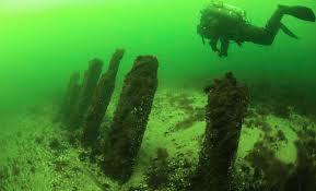 Amber ajami lesbian sex she was so full of energy, and