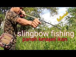 Maybe you would like to learn more about one of these? Video Panah Ikan