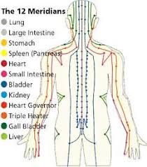 a guide to the 12 major meridians of the body acupressure