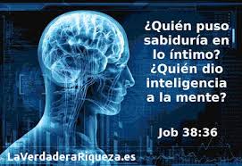 Los Tiempos Senalados De Dios La Verdadera Riqueza