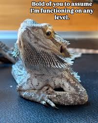 I'm upright but that's mostly out of spite.