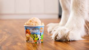 Israelíes visitan la fábrica de helados ben & jerry's en la zona industrial de be'er tuvia, martes 20 de julio de 2021. Ben Jerry S Ya Tiene Helado Para Perros Food Wine En Espanol