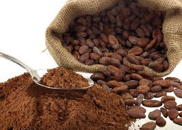 Check spelling or type a new query. Pemprosesan Buah Koko Cocoa Kepada Coklat Chocolate Myrokan