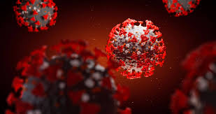 As schools evolve to meet the demands of the 21st century, the process of developing a master schedule has become increasingly complex. Home Canadian Association Of Schools Of Nursing Association Canadienne Des Ecoles De Sciences Infirmieres Casn Acesi