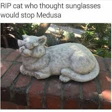 The most bizarre news, product, and people from around the world. 22 Caturday Memes That Will Start Your Weekend The Right Way Funny Gallery