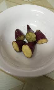 Tuan tanah ada terbaca penemuan kajian mardi tentang daun/pucuk keledek, didapati pucuk/daun keledek mempunyai nilai nutrisi yang sangat tinggi dan kaya dengan polifenol, lutein, vitamin a. Cara Mudah Tanam Ubi Keledek Manis Potong 3 Terus Tanam Tapi Jangan Kambus Vanilla Kismis
