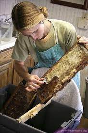 Oh Honey Blessed Bee Honey Bee Hives Bee Keeping Honey Bee