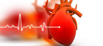 Vant prinsessa, men det måtte et hjerteflimmer til for å få halve kongeriket. Hjerteflimmer