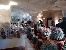 Agion trimithias, nicosia, cyprus | park. Cactus And Succulents Exhibition In Cyprus Part 16 Steempeak