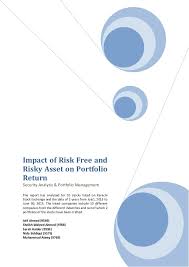 Official model mayhem page of ahmed siddiqui; Impact Of Risk Free And Risky Asset On Portfolio Return