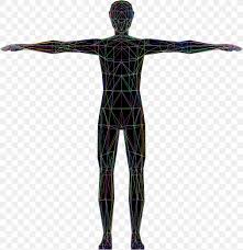 Understand the relational nature of such terminology. Vitruvian Man Human Body Homo Sapiens Drawing Clip Art Png 2192x2254px Vitruvian Man Anatomy Arm Art