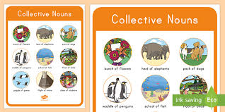 Second Grade Collective Nouns Poster Teacher Made