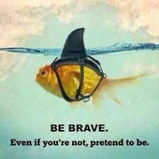 Cancer is one amongst the worst sickness someone can have, simply imagine dying a slow & terribly painful death whereas your family watches. 29 Fish Quotes Ideas Quotes Fishing Quotes Fish