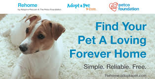 Maybe you would like to learn more about one of these? Rehoming Your Pet Recycled Love Dog Rescue Pet Owner Assistance Saving The Lives Of Dogs In Southern California Including Los Angeles Orange County Inland Empire Riverside And San Diego