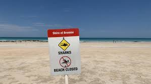 Ben gerring, 29, from mandurah south of perth in western australia, is attacked by a. Broome Shark Attack Second At Cable Beach In Less Than Weeks