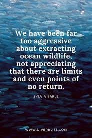  A Collection Of Inspiring Quotes For Divers And Ocean Lovers Scuba Diving Quotes Diving Quotes Sunset Quotes