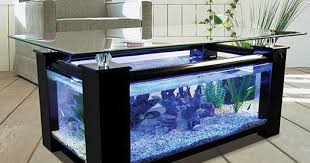15 Beautiful Aquarium Coffee Table Design Ideas For The Living Room Elite Readers Glass sides and a glass tabletop.