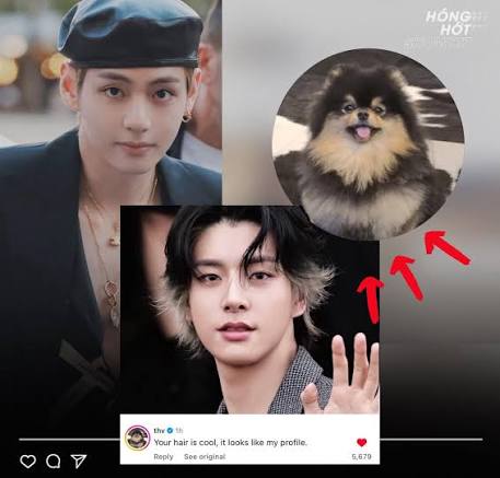 Kim Taehyung giỡn cỡ này: Bình luận về tóc của ENHYPEN Jake trong bài đăng  mới của cậu: "Tóc cậu cool lắm, trông giống ảnh đại diện của anh đấy" 🤭