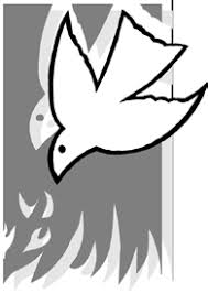 Самые новые твиты от adriana martino (@adrianamartino): 2