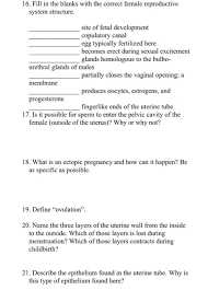 Solved 16 Fill In The Blanks With The Correct Female Chegg Com