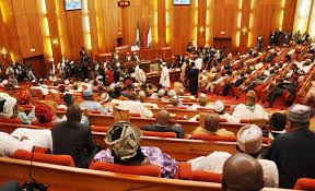 Image result for Nigerian senate lawan