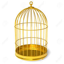 Ejemplos contextuales de golden cage en inglés. Golden Cage Stock Photo Picture And Royalty Free Image Image 6784196
