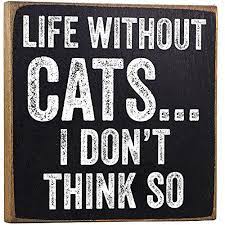 Funny Cat Signs Life Without Cats Wooden Signs To View Further For This Item Visit The Image Link This Is An Affiliate Link Cat Signs Cats Box Signs