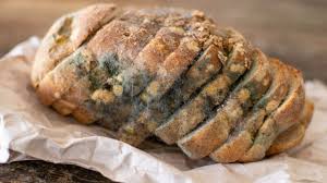 Sara rena ingredienti lascia un commento in alcuni formaggi sono proprio le muffe a conferire le caratteristiche organolettiche del prodotto, ma in altri casi sono un chiaro segnale del fatto che il formaggio non è più commestibile ed è quindi da buttare. Muffa Nel Cibo Si Butta Tutto O Si Conserva Solo La Parte Non Marcia