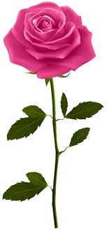 Pink Rose With Stem Png Clip Art Image Blue Rose Tattoos Pink Rose Tattoos Beautiful Rose Flowers
