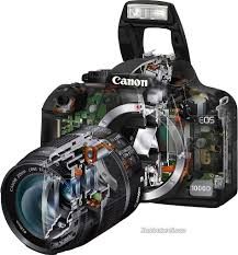Cs 178 Digital Photography Free online photography courses often do not provide any certificates or degrees.