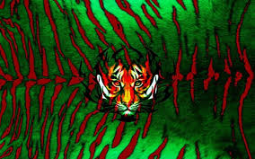 Flag Of Bangladesh Wallpapers Hd Wallpaper Bangladesh Flag 1280x720 Wallpaper Teahub Io