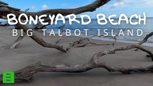 I am riding a bagi bike b10 bold folding fat tire. Boneyard Black Rock Beach On Big Talbot Island State Park Youtube