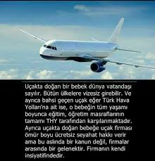 Filiz Bilgi Gizli Bilgi Gercekler