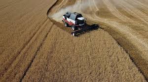 From Grain to Gunpowder: Russia Azov Sea Shipping Halt Triggers Global Food Supply Chain Chaos