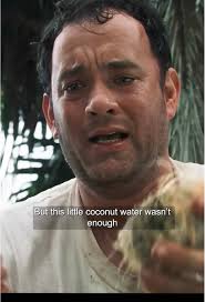 Plane Crash Leaves Him Stranded? His Survival Story Goes Viral  ✈️🏝️#DesertedIsland #survivalskills