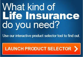 Http Www Lifeinsurancerates Com Is Cheap Whole Life Insurance Worth It Html Universal Life Insurance Come And Check Out Our Websit Life Insurance For Seniors