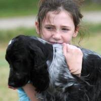 Rehoboth fair draws 8,000