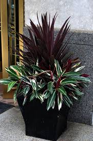 Container Gardening Design Ideas Case Landscape Gardening Jobs Melbourne Only Be Case Case Contain In 2020 Container Garden Design Container Flowers Plants