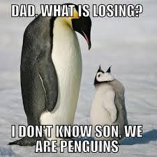 Have you ever seen a penguin dancing here? Penguins Deeryjennifer