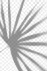 Shadow Of Palm Leaves Design Element Free Image By Rawpixel Com Teddy Rawpixel Palm Leaf Design Design Element Shadow Plants