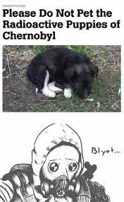 9gag is your best source of fun! Chernobyl Is In Russia Sarcasm Stupid Memes Funny Memes Stupid Funny Memes