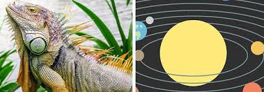 Probably so, if you ace this quiz. If You Can T Pass This Science Quiz Go Back To 4th Grade